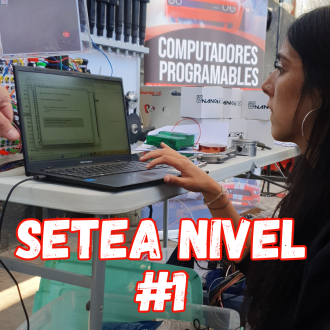 Curso nivel básico Software de Programación TunerStudio. (SANTIAGO)